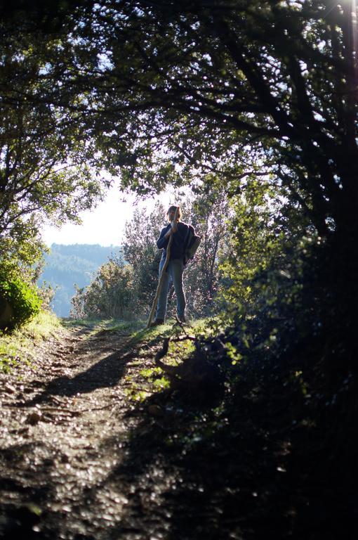 Gite Du Puy Saint-Fortunat-sur-Eyrieux エクステリア 写真